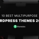 10-Best-Multipurpose-WordPress-Themes-2024
